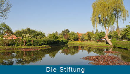 die Stiftung